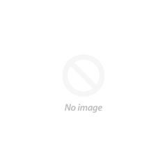 Persistent dedicated encoding